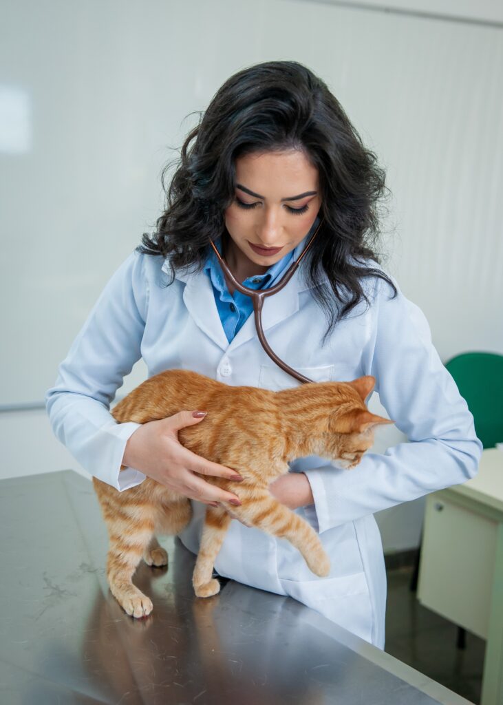 vet. Letícia Ponte Atendimento veterinário a domicílio em brasília