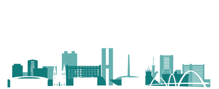 Atendimento veterinário em domicílio em brasília