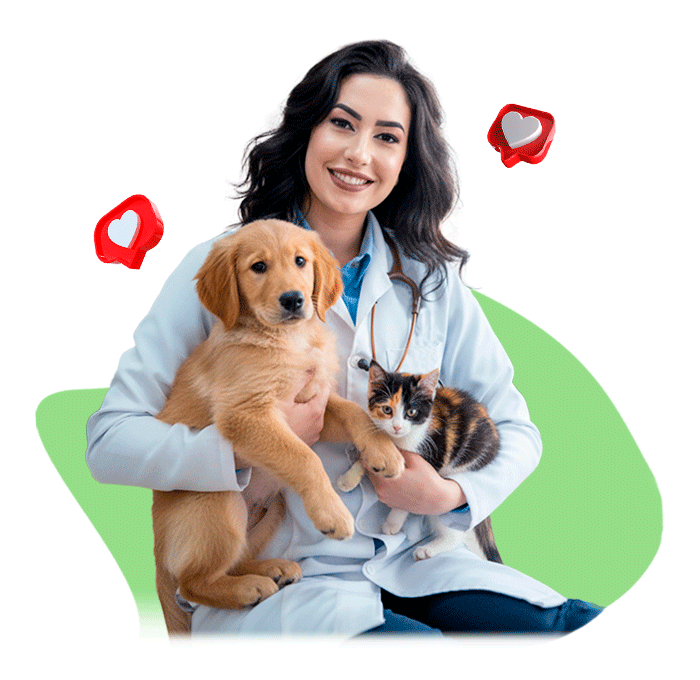 Atendimento veterinário a domicílio em brasília