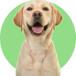 Logotipo psicóloga minimalista moderno (10)