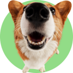 Logotipo psicóloga minimalista moderno (12)